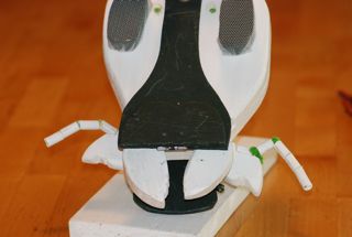 model insect