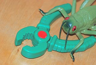 model insect