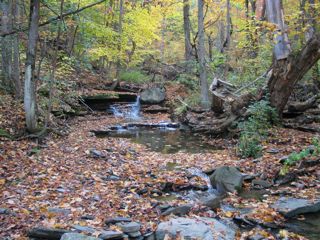 autumn