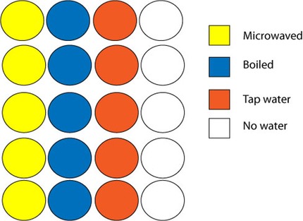 water-experiment-graphic