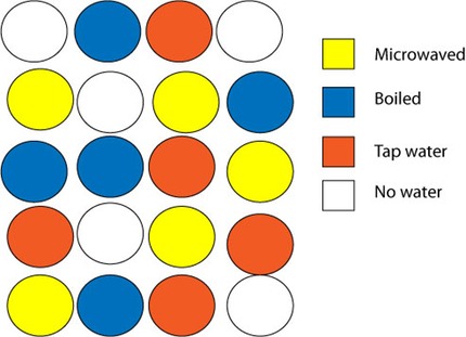 water-experiment-randomized