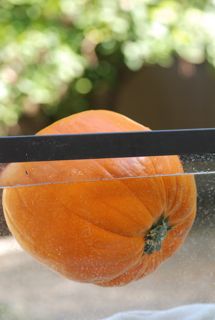 pumpkin floating in water